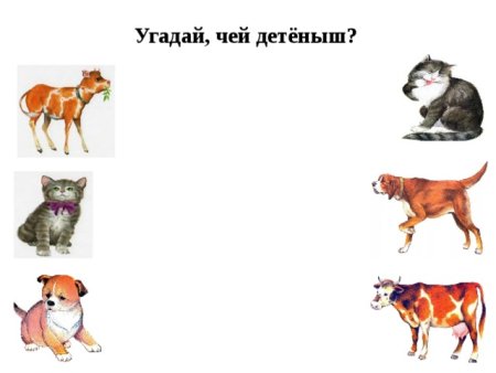 Найди маму домашние животные