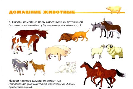 Занятия по теме домашние животные