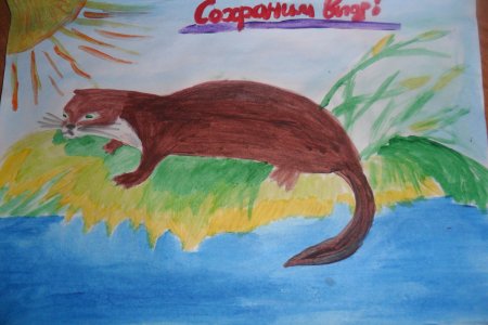 Рисунок выдры на конкурс красками