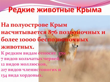 Редкие животные Крыма занесенные в красную книгу