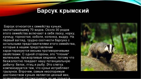 Растения и животные занесенные в красную книгу Крыма