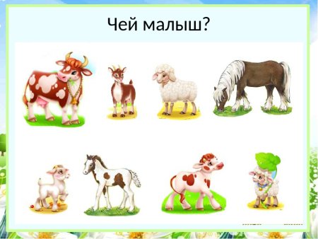 Дидактическая игра чей малыш домашние животные