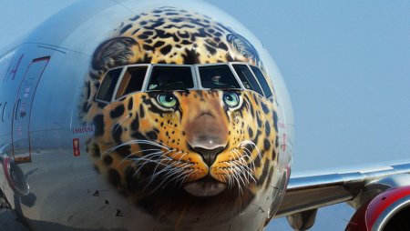 Боинг 777 Дальневосточный леопард