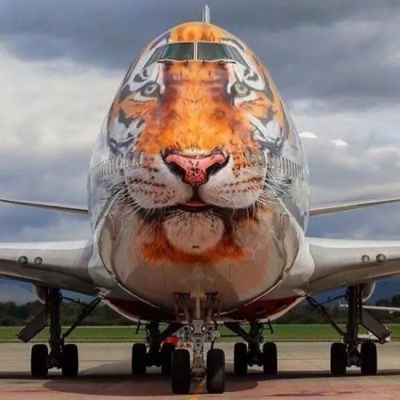 Боинг 747-400 Тигролет