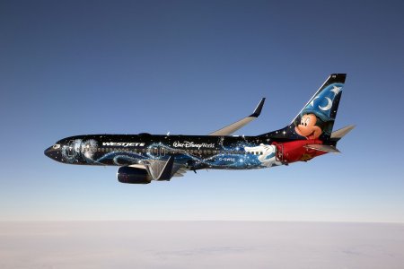 Boeing 737 800 необычные ливреи