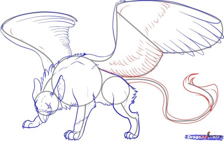 Анатомия грифона