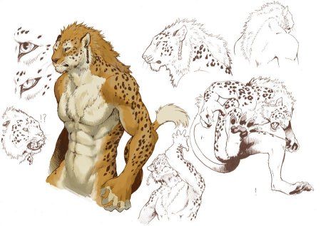 Тигр оборотень референс