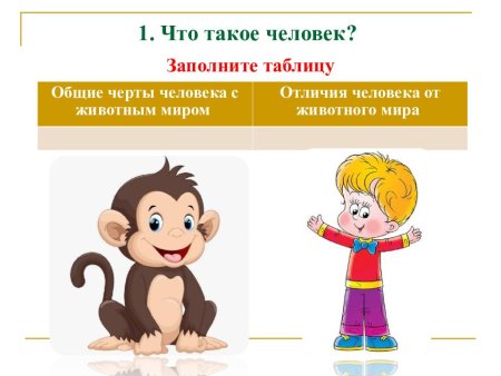 Рисунок на тему чем человек отличается от животного