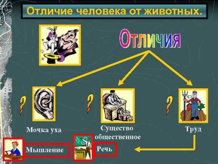Отличие человека от животного Обществознание
