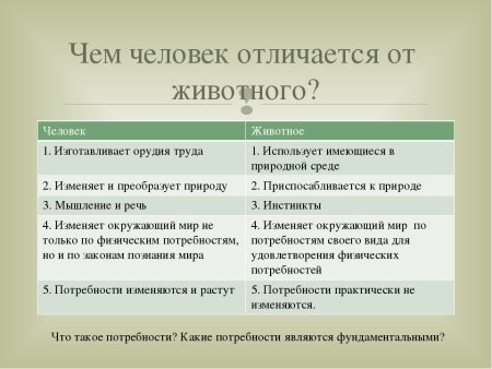 Чем человек отличается от животного 4 класс окружающий мир