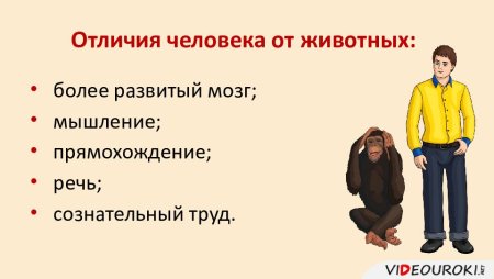 Отличие человека от животных