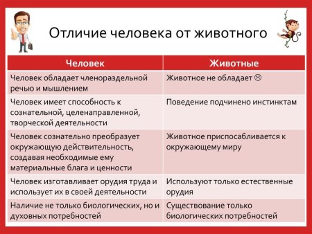 Отличие человека от животных Обществознание