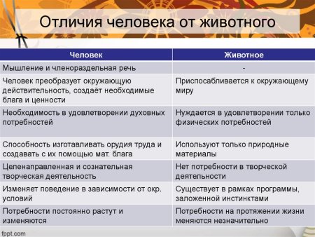 Чем человек отличается от животных Обществознание