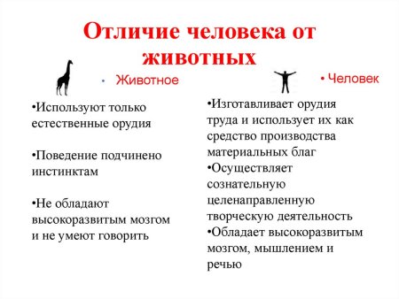 Признаки отличия человека от животных