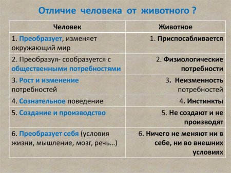 Отличительные признаки человека от животного