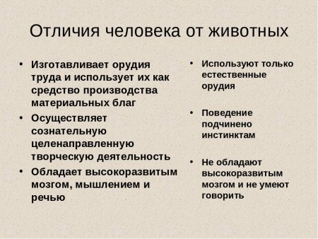 Отличие человека от животных Обществознание 8 класс