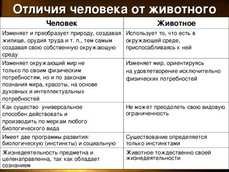 Основные отличия человека от животного таблица