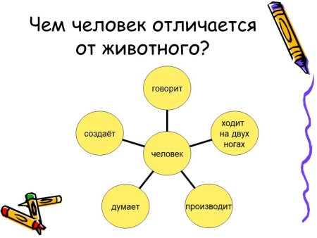 Чем человек отличается от животного 4 класс окружающий мир