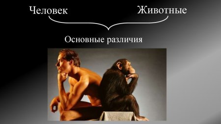 Отличие человека от животного
