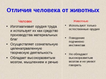 Отличие человека от животного 4 класс