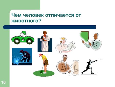 Чем человек отличается от животного