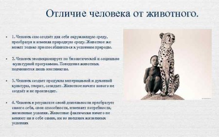 Отличие человека от животного
