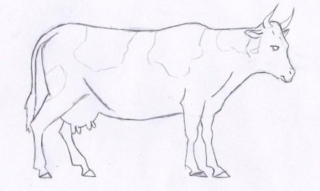 Коровка. Раскраска