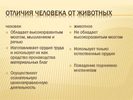 Отличие человека от животных