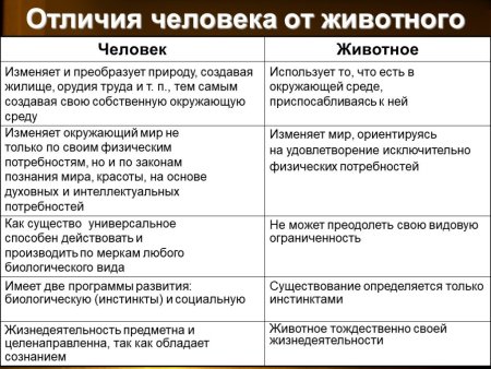 Отличие человека от животного Обществознание