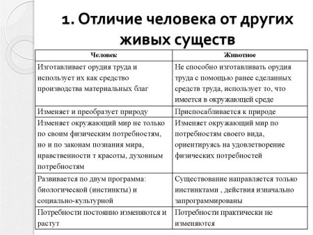 Чем человек отличается от живых существ