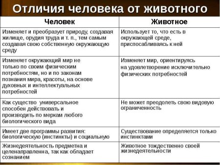 Отличие человека от животного Обществознание 6 класс