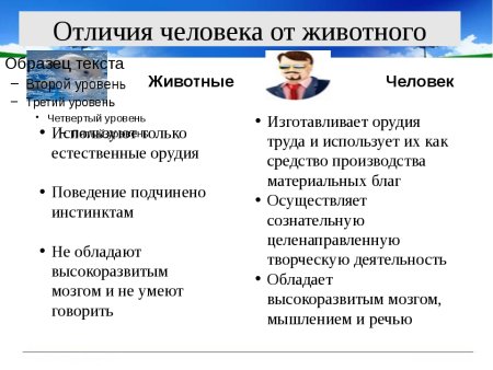 Отличие человека от животного Обществознание таблица