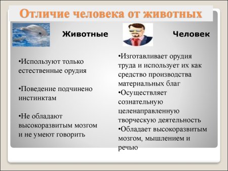 Чем отличается человек от животного Обществознание 4 класс