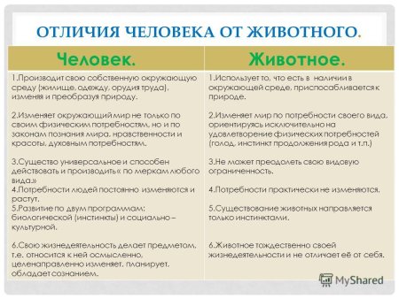 Рассказ чем человек отличается от животных 4
