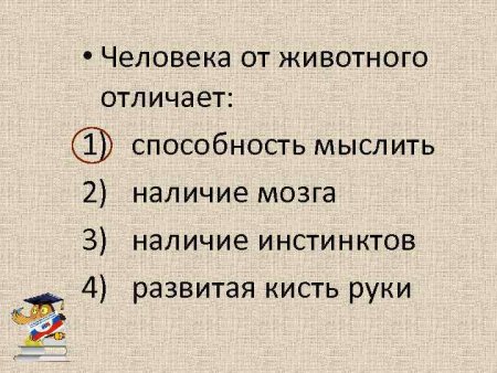 Что отличает человека от животного