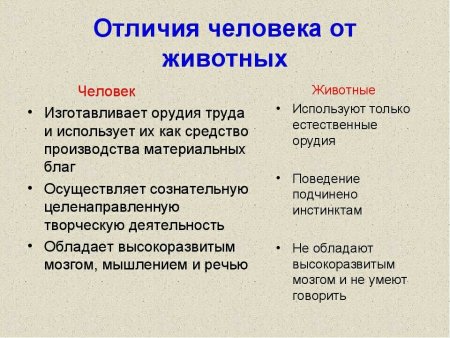 Различия человека и животного