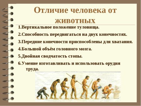 Отличие человека оттживотного