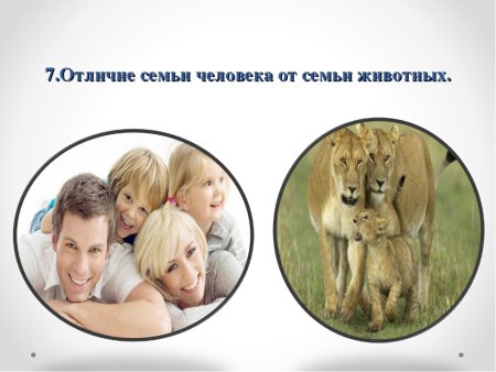 Отличия детей от животных