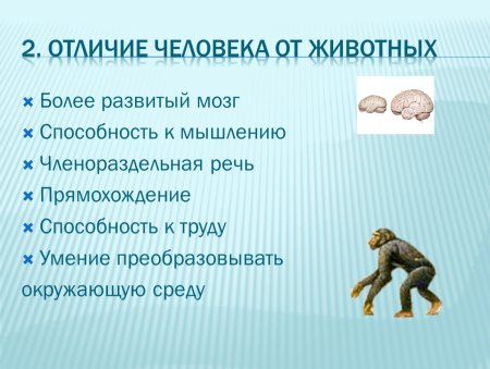 Отличие человека от животного 4 класс окружающий мир