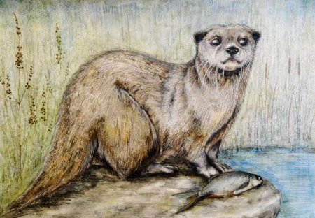 Вымирающие животные Алтайского края