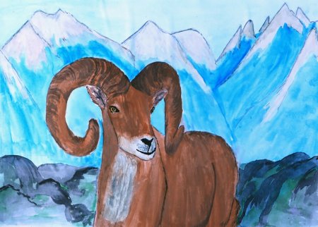 Заповедник рисунок