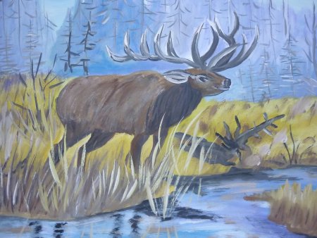 Животные тайги раскраска для детей