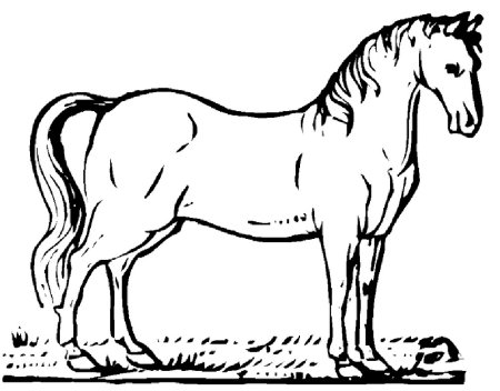 Раскраска. Лошади