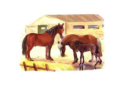 Семья лошадей