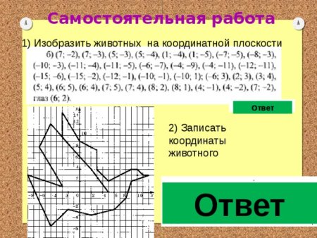Внутренне строение амфибии лягушки