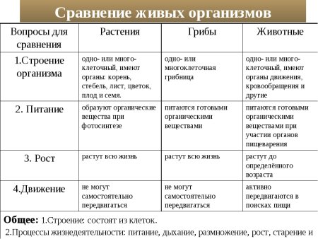 Взаимосвязь организма растения с окружающей средой