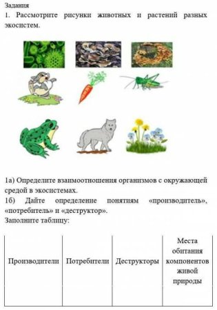 Тест по окружающему миру 4 класс