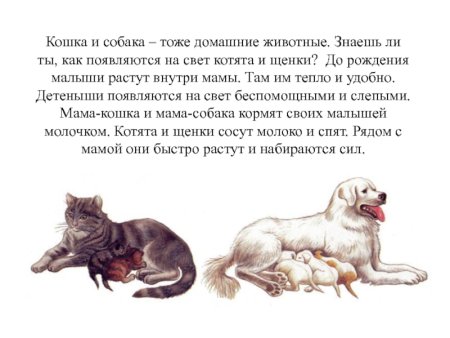 Рассказы о животных