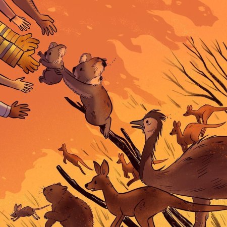 Австралия арты