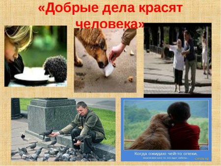 Добрые поступки